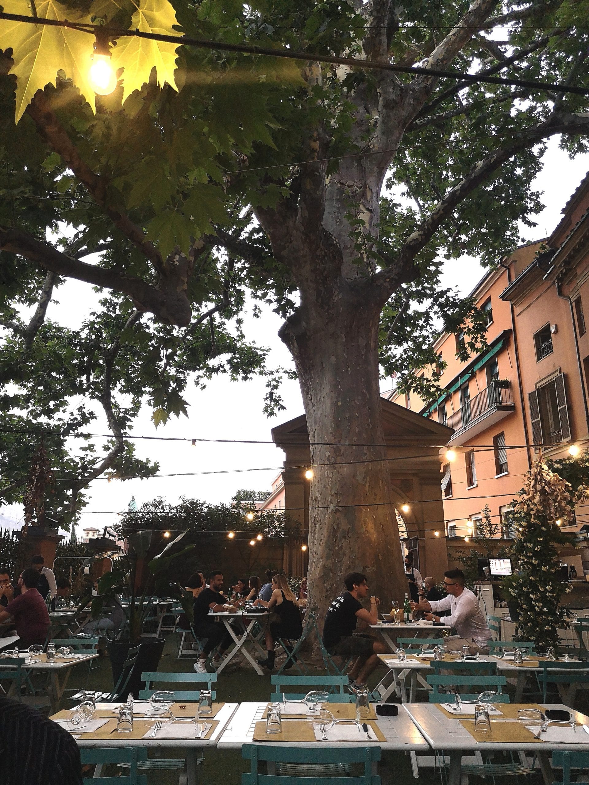 Dehors serale sotto un grande platano con luci e tavoli