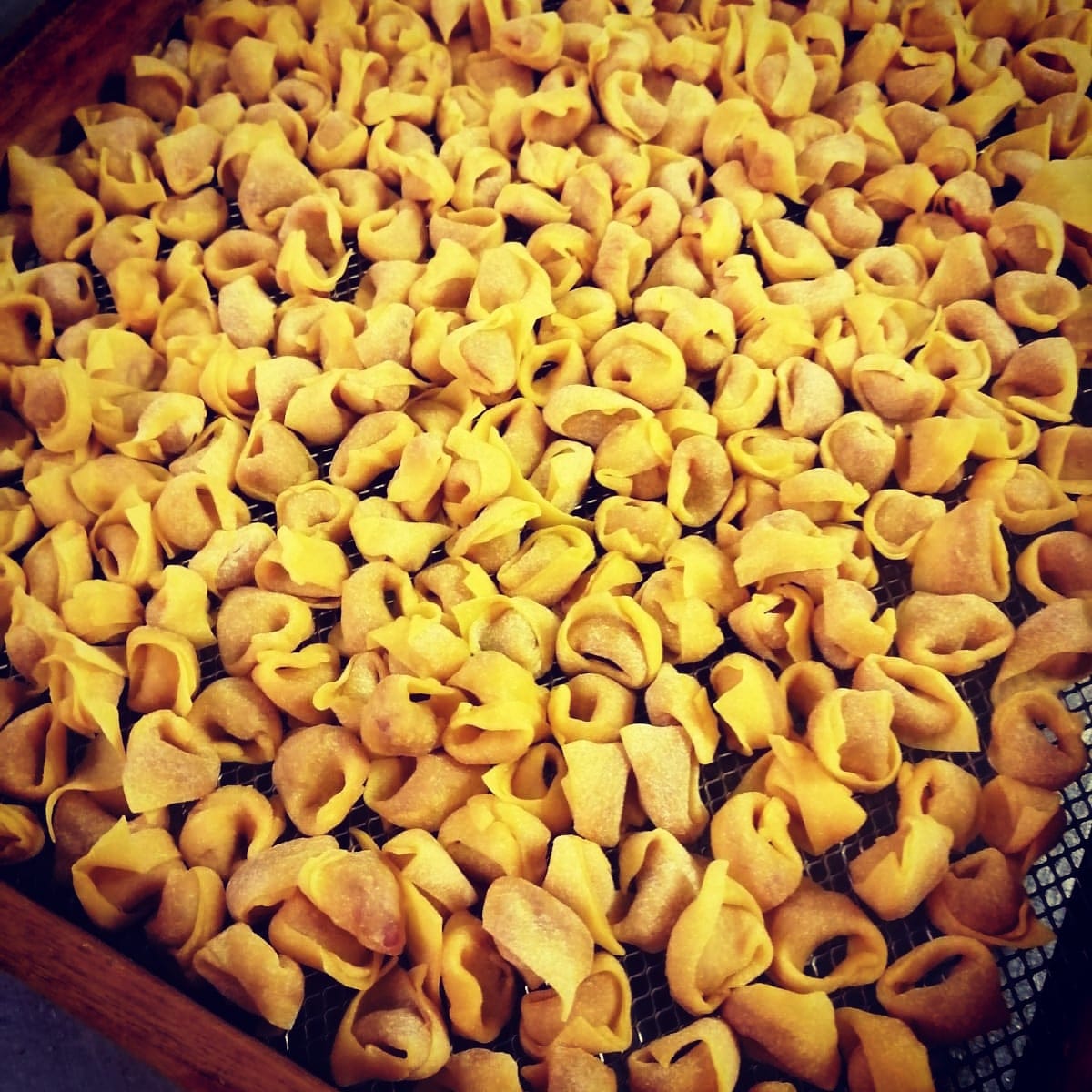 Vassoio di tortellini crudi disposti fitti prima della cottura