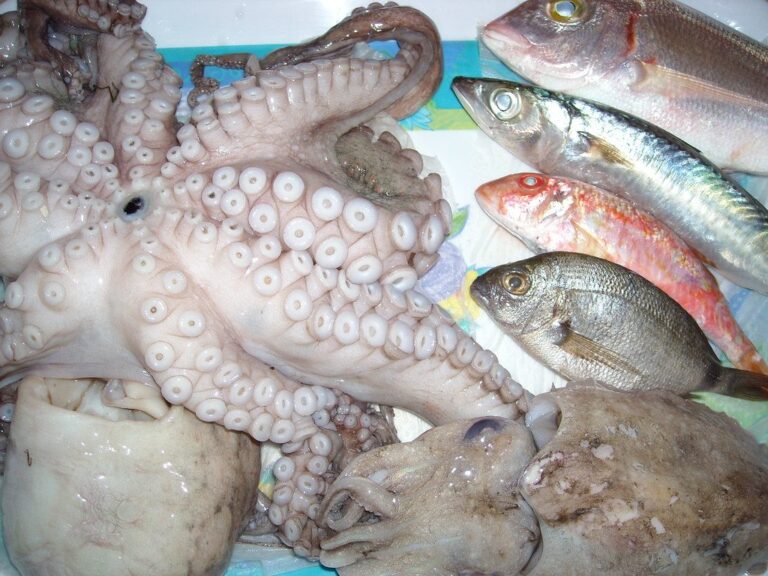 Fritto e limone: si? o no?