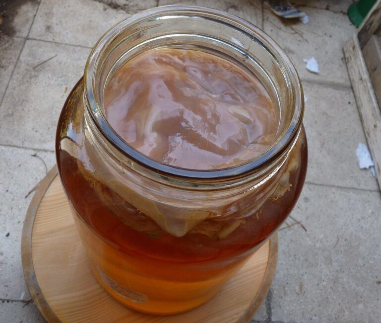 La ricetta del kombucha? In Giappone non si fa così